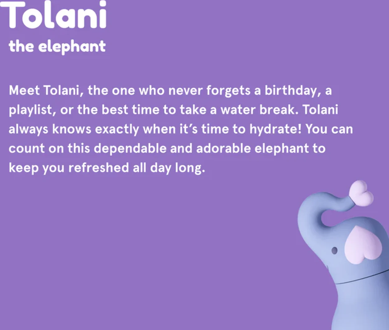 Flaska Bestie - Elephant