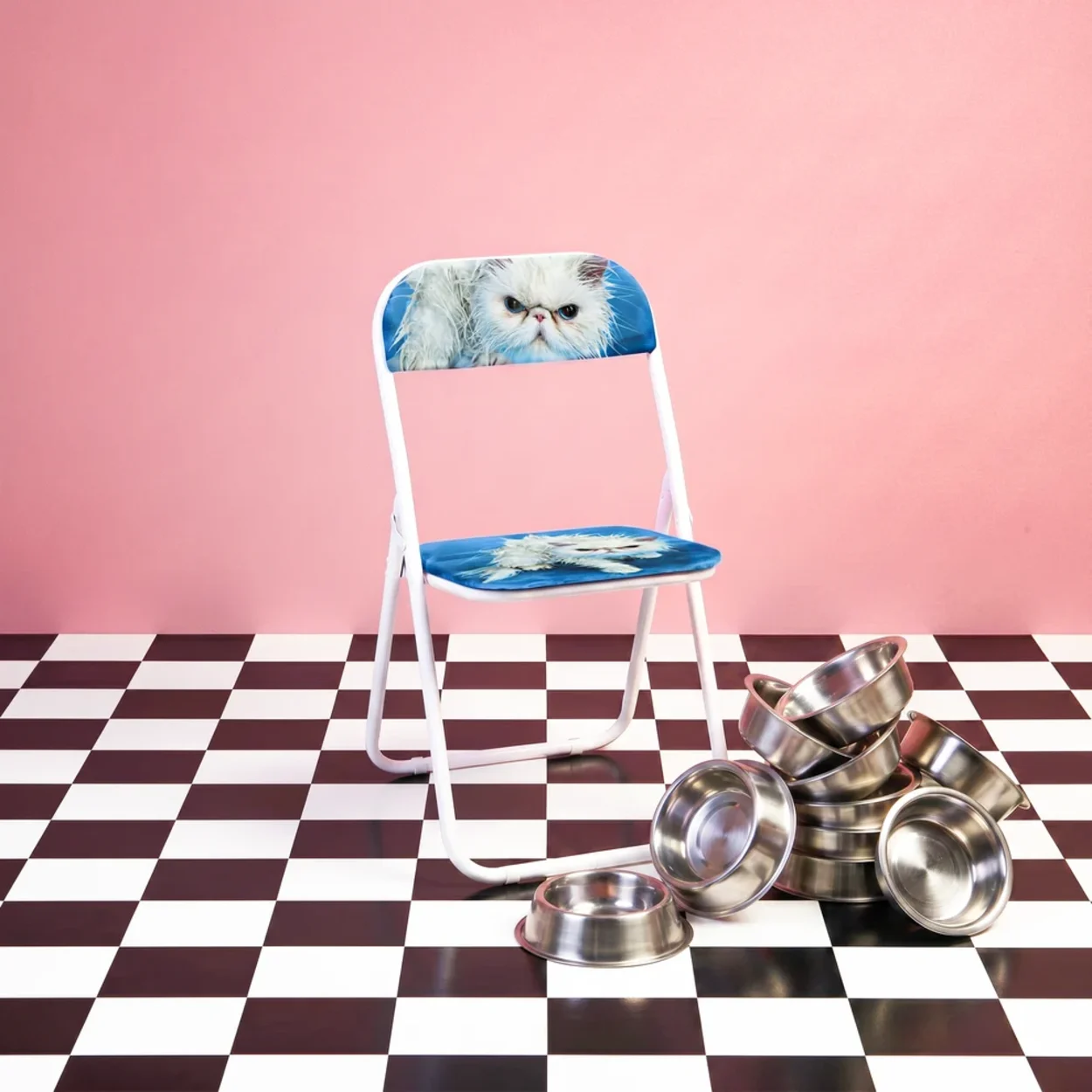 Folding Chair - Angry Cat