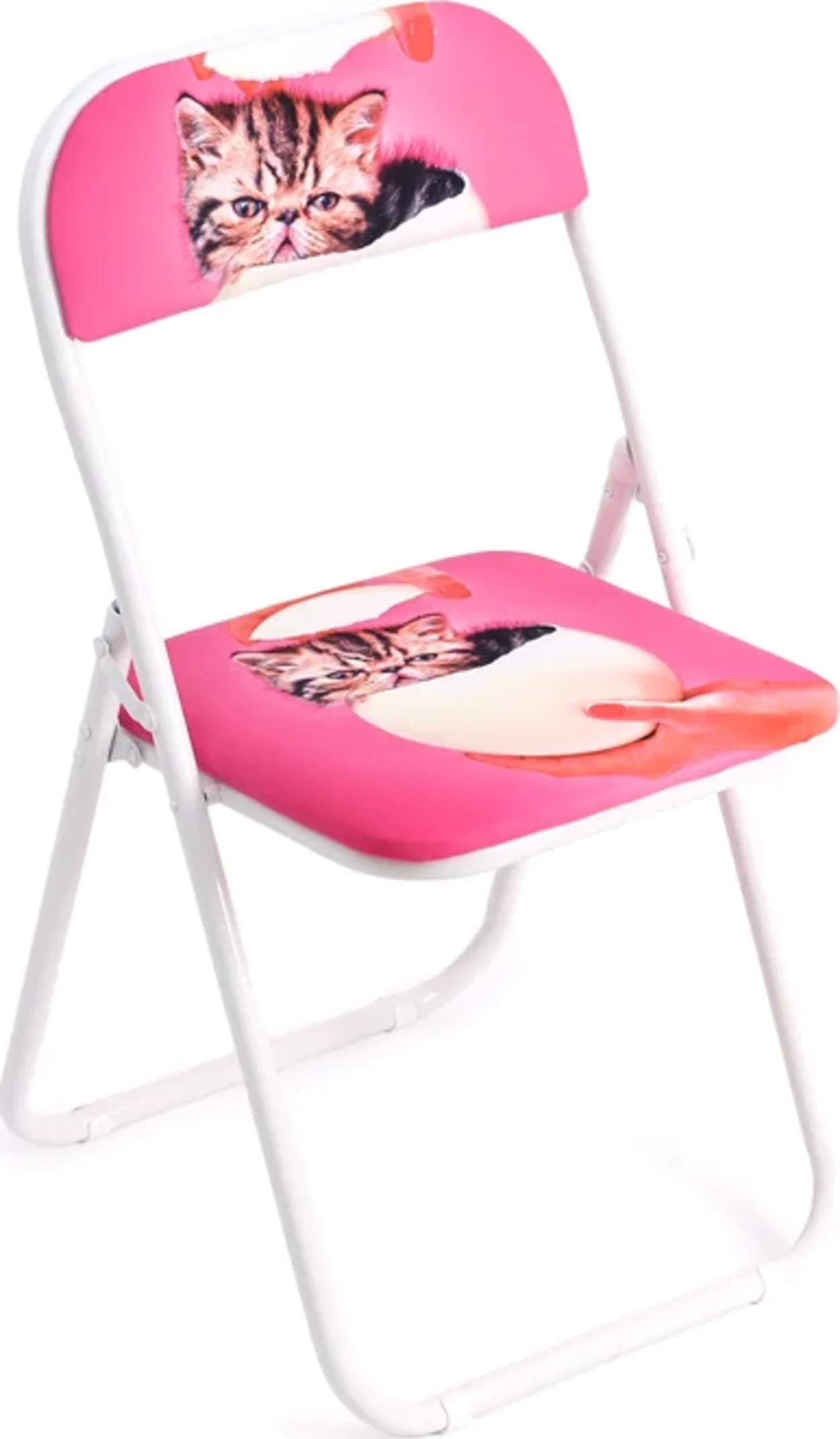 Folding Chair - Cat Surprise