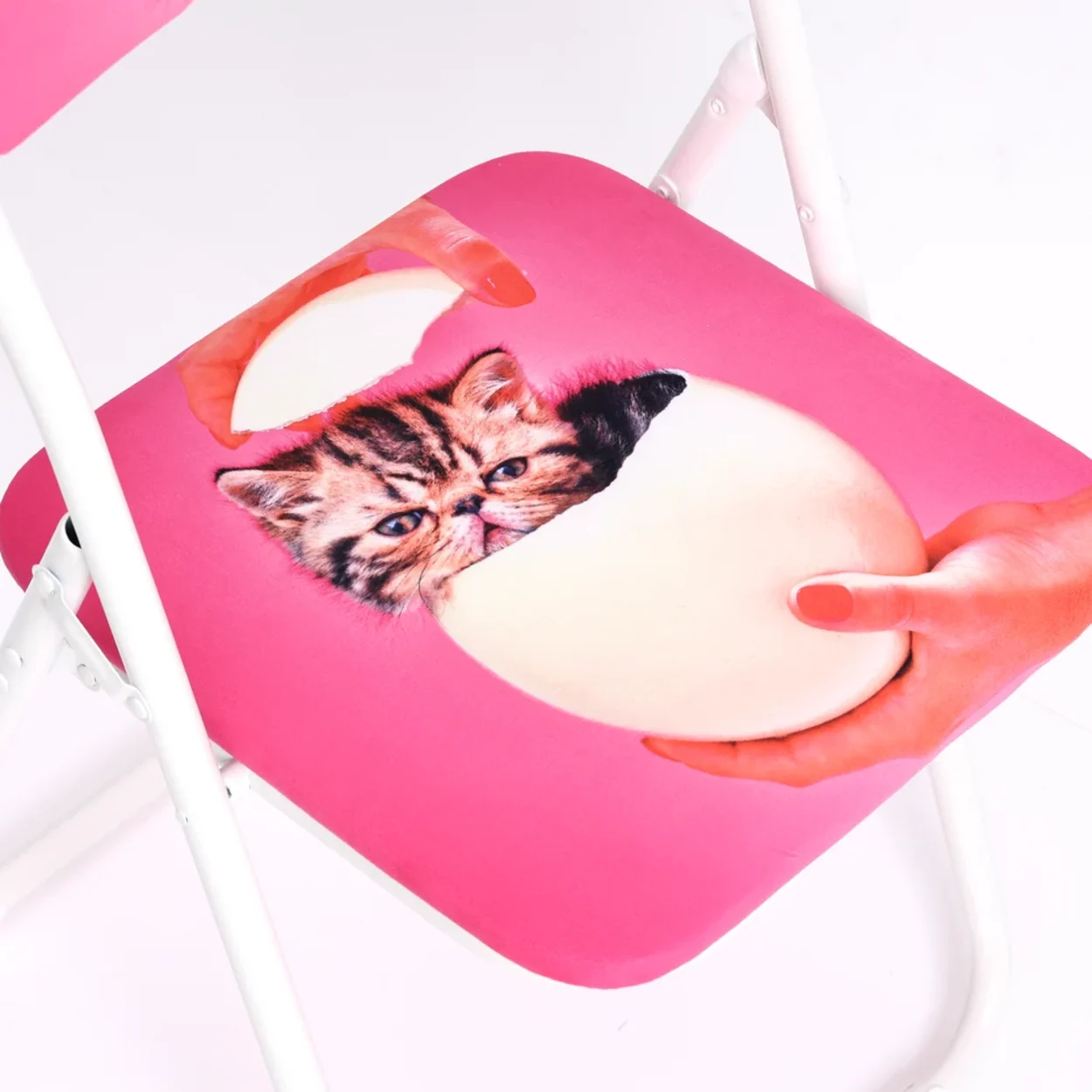 Folding Chair - Cat Surprise