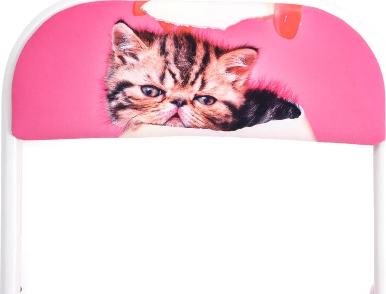 Folding Chair - Cat Surprise