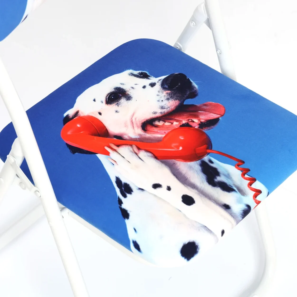 Folding Chair - Dog Call Center