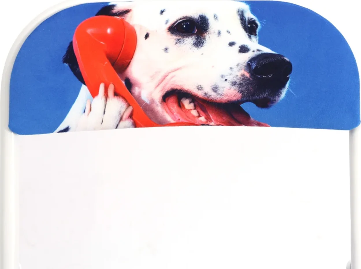 Folding Chair - Dog Call Center