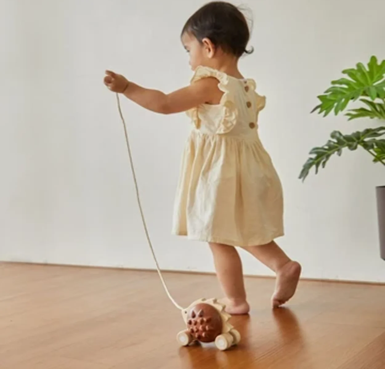 Pull along - Hedgehog - Brown