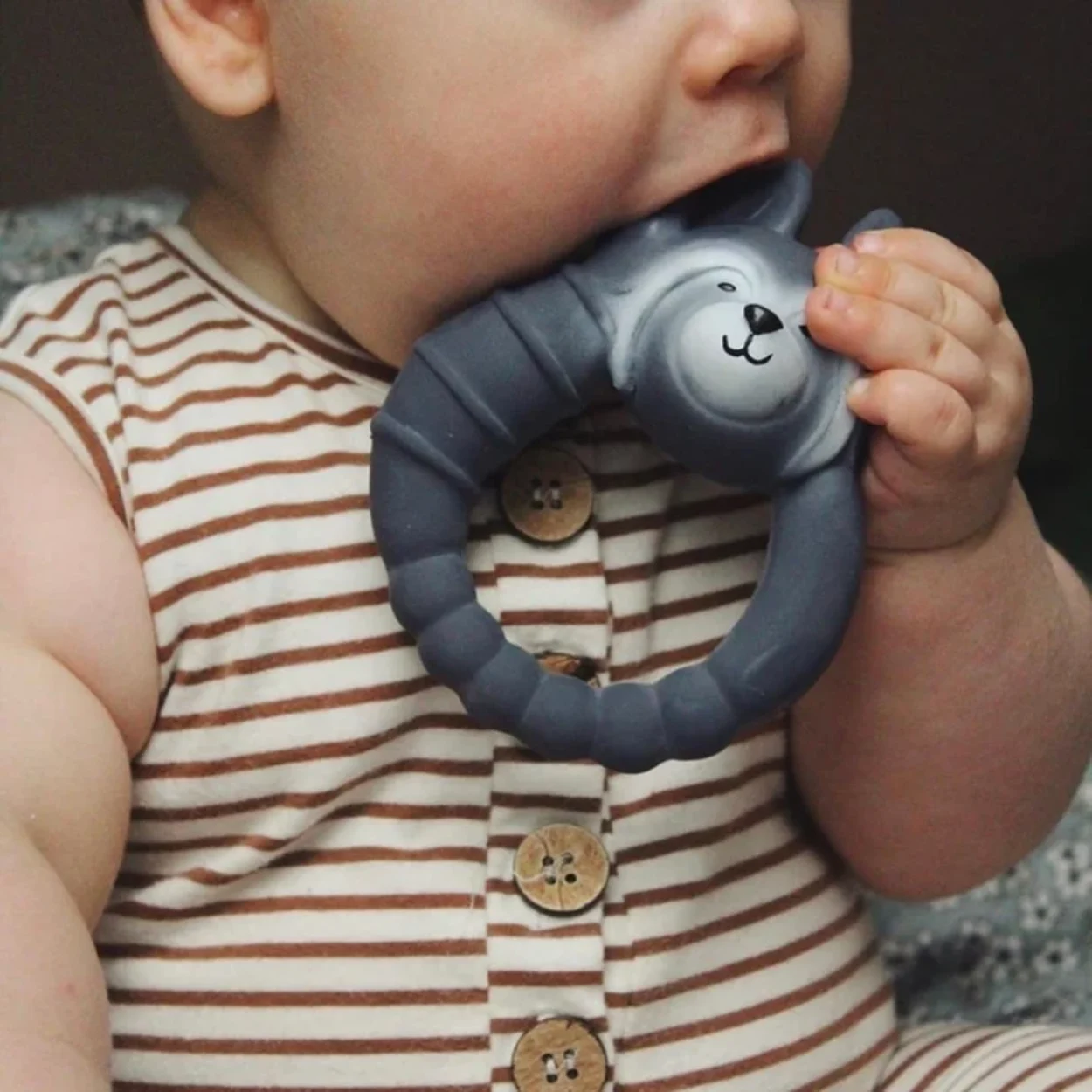 Teether Raccoon Grey