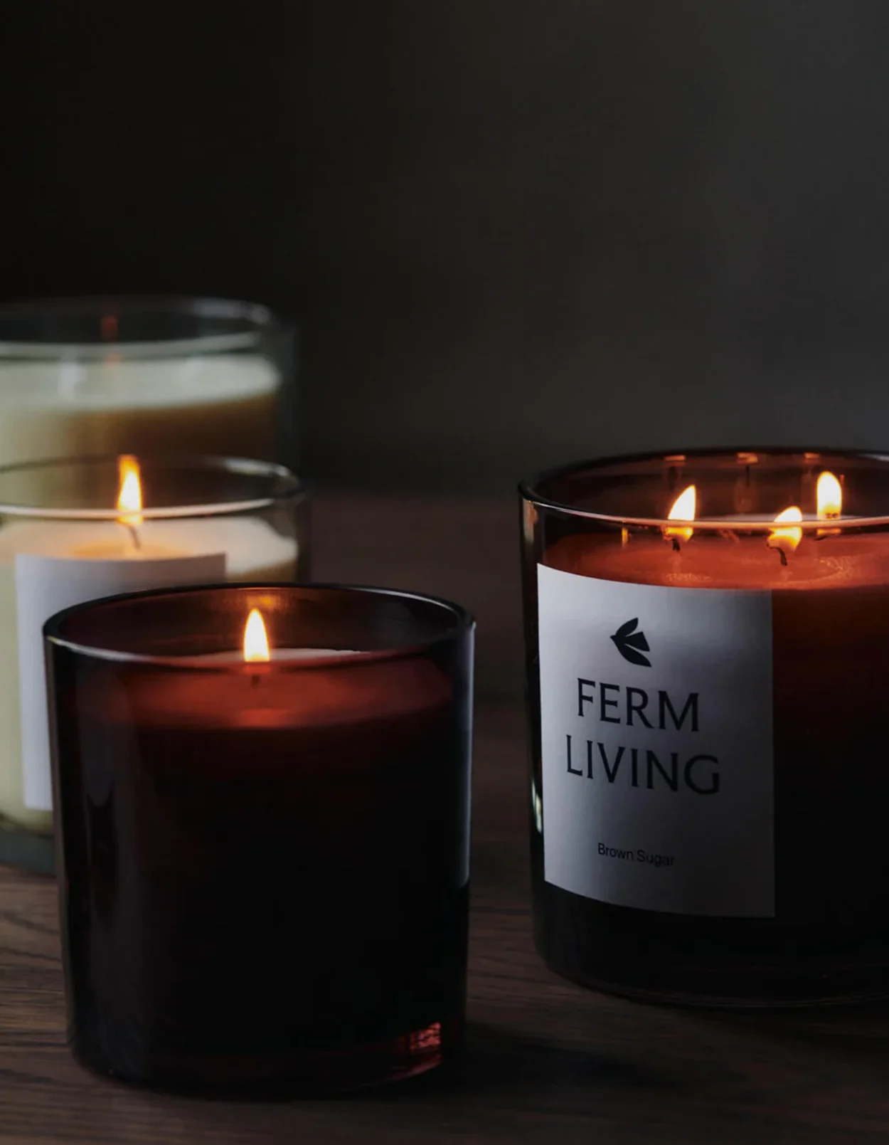 Vitto Scented Candle - H10 - Dark Grape 