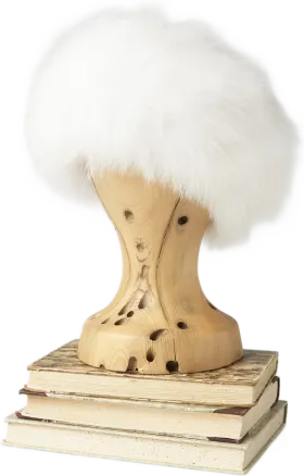 White Fox