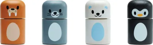 Arctic Animal Matching