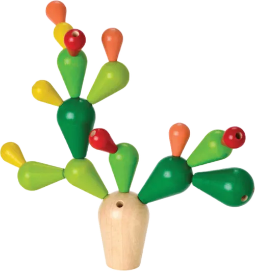 Balancing Cactus