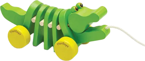 Dancing Alligator 