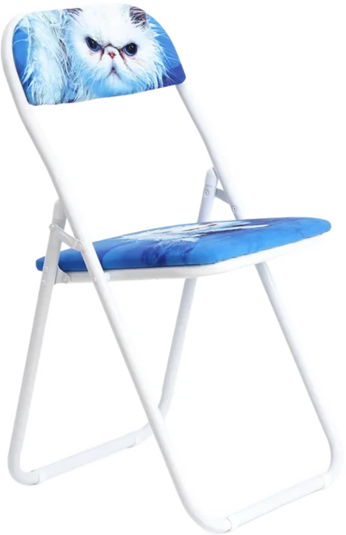 Folding Chair - Angry Cat