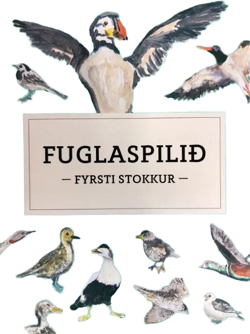 Fuglaspilið