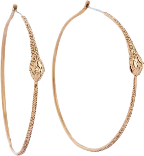 Orrifinn Ouroboros - Brons eyrnalokkar, hringir (hoops)