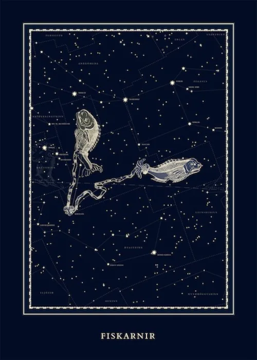 Plakat - Fiskarnir