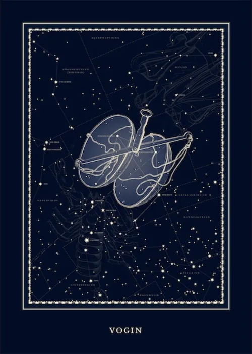Plakat - Vogin