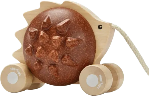 Pull along - Hedgehog - Brown