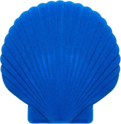 Seashell jewelery box - Blue