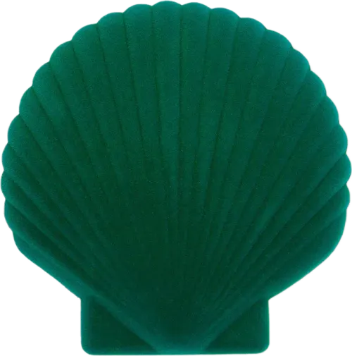 Seashell jewelery box - Green