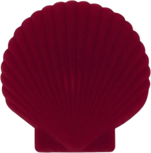 Seashell jewelery box - Red