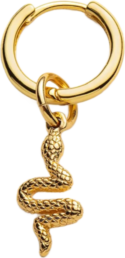 Single hoop with snake