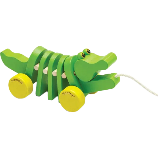 Dancing Alligator 