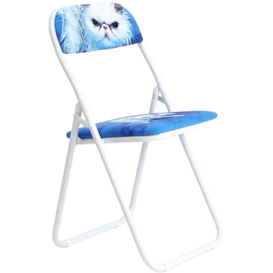 Folding Chair - Angry Cat