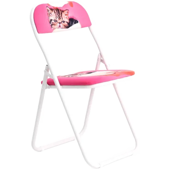 Folding Chair - Cat Surprise