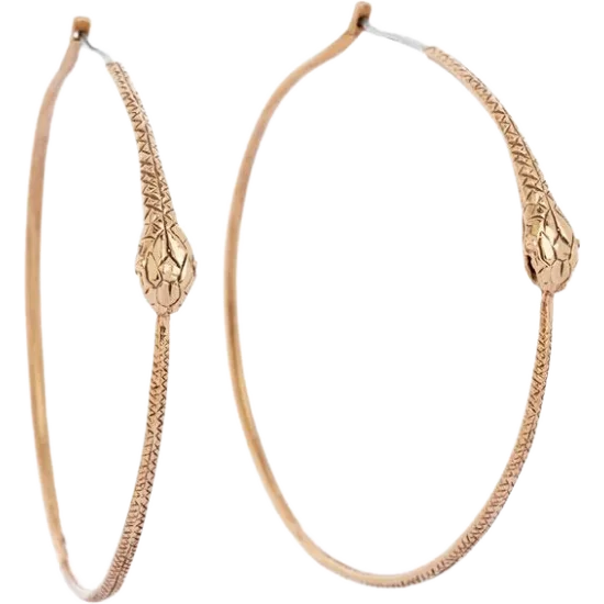 Orrifinn Ouroboros - Brons eyrnalokkar, hringir (hoops)