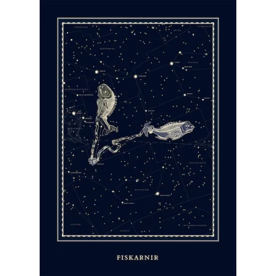 Plakat - Fiskarnir