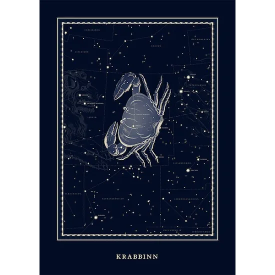 Plakat - Krabbinn