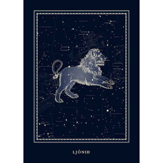 Plakat - Ljónið