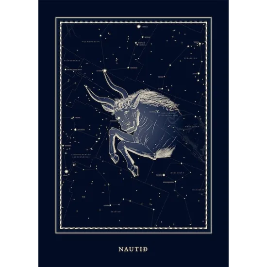 Plakat - Nautið