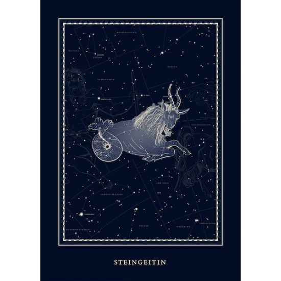 Plakat - Steingeitin