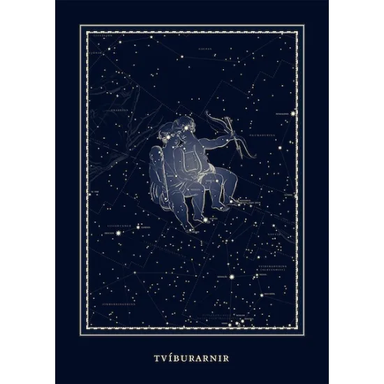 Plakat - Tvíburarnir