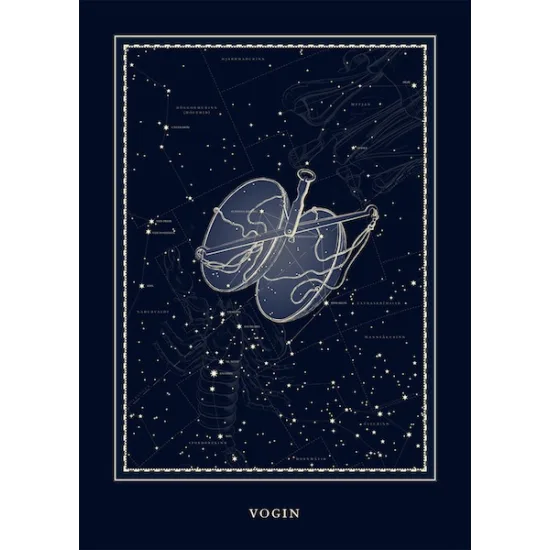 Plakat - Vogin