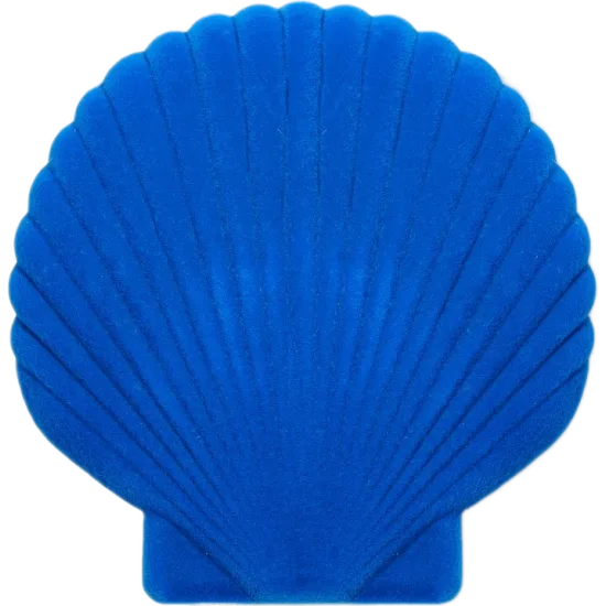 Seashell jewelery box - Blue
