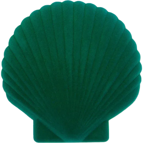 Seashell jewelery box - Green