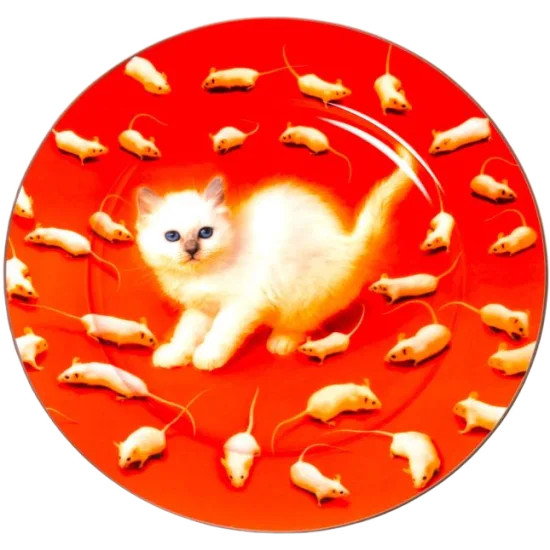 Seletti Toiletpaper Diskur -  KITTEN