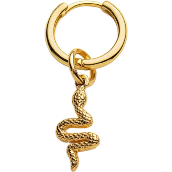 Single hoop with snake