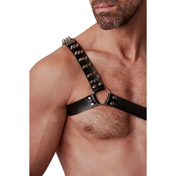 Harness Crixus