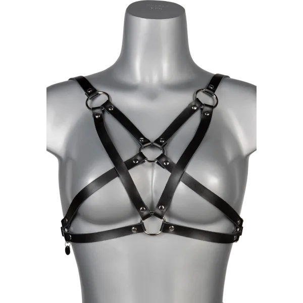 Harness Infinity