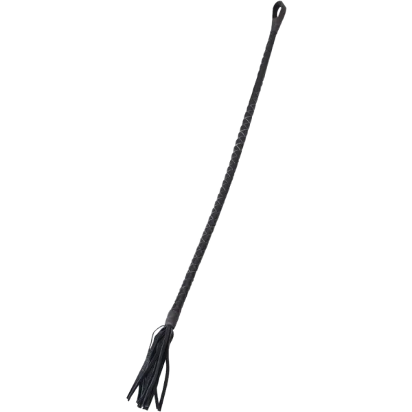 Leather Cane / Whip