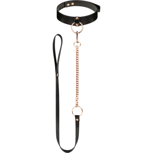 Collar With Leash