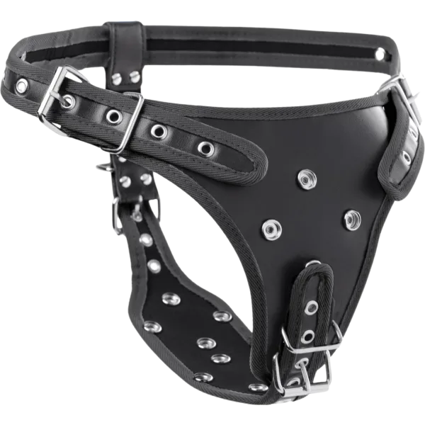 Double Penetration Strap On Harness