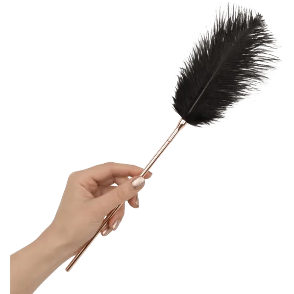 Feather Tickler & Whip