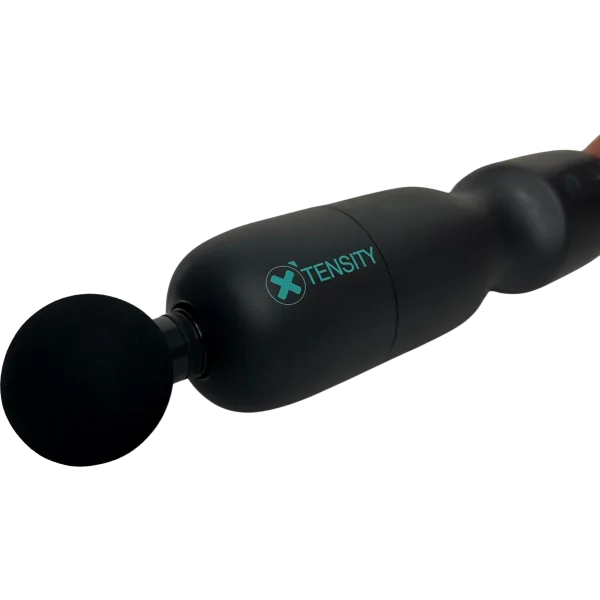 Xtensity 1