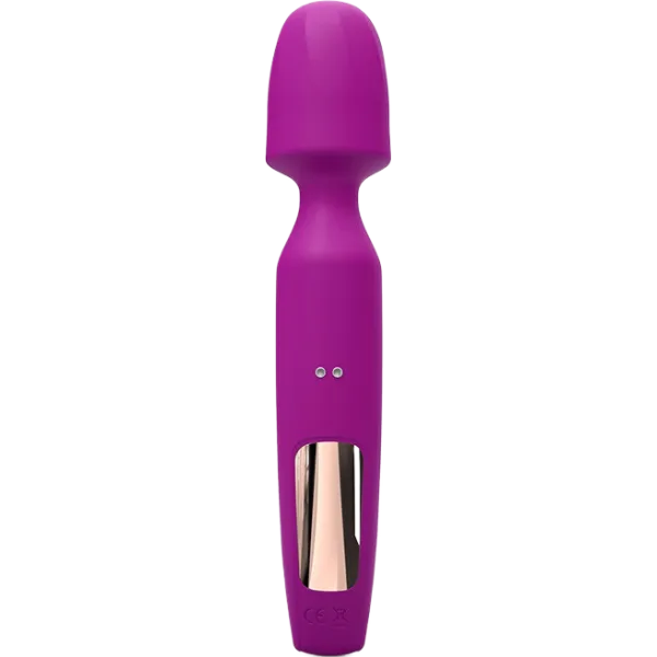 Wand Vibrator With 2 Attachments