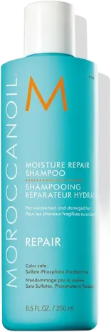 Repair - Moisture Repair Shampoo
