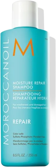 Repair - Moisture Repair Shampoo