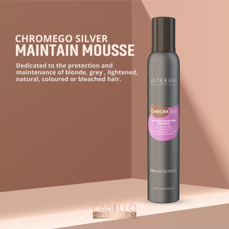 Silver Maintain Mousse